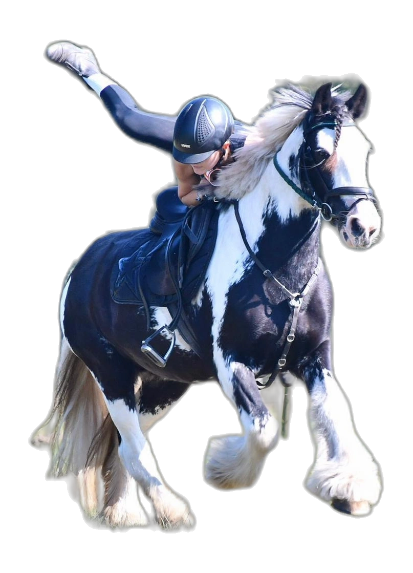 Portrait von Hannah-Joline Walther