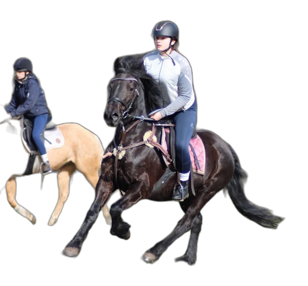 Portrait von Mia Isabell Lange