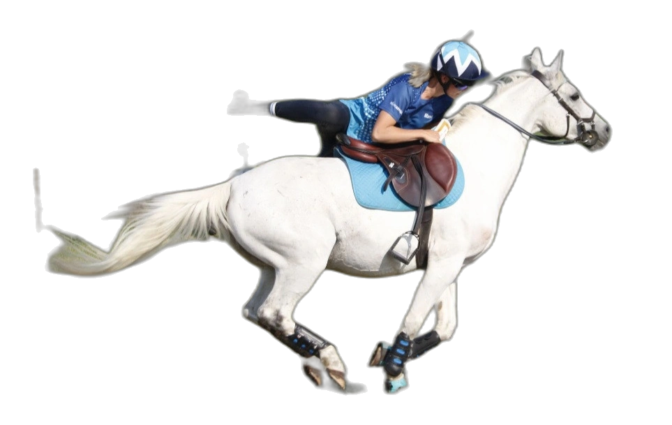 Portrait von Mareile  Voß 