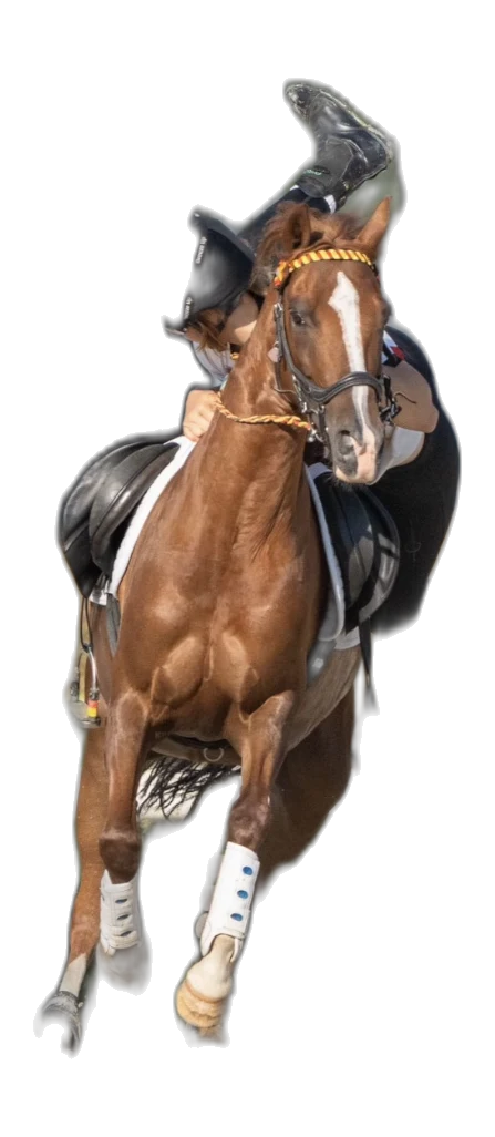 Portrait von Ida Meyer